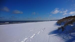 una spiaggia innevata con impronte nella neve di Ferienwohnung Mercedes a Zinnowitz