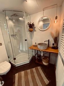 ein Bad mit einer Dusche, einem Waschbecken und einem WC in der Unterkunft Holzhütte Ole zw. Meer & Wald mit Kamin & Sauna in Behrensdorf