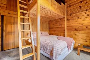 a bedroom with a bunk bed and a ladder at Hanmer Hideaway in Hanmer Springs