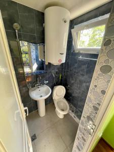 夏克班提維的住宿－Mai Shekvetili，一间带卫生间和水槽的小浴室