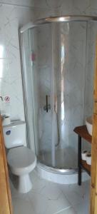 uma casa de banho com um WC e uma cabina de duche em vidro. em Villa Old House BN em Bitola