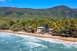 an aerial view of a beach with palm trees at Oceans Edge Beach House At Oak Beach in Oak Beach