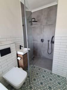 e bagno con doccia, servizi igienici e lavandino. di Holiday home in Fresnay-NO load shedding in a secure estate a Città del Capo