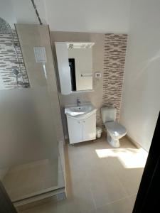 een badkamer met een toilet, een wastafel en een spiegel bij FORREST Villa in Eforie Nord