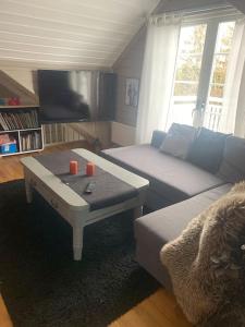 uma sala de estar com um sofá e uma mesa de centro em Trivelig villa med innendørs peis em Fredrikstad