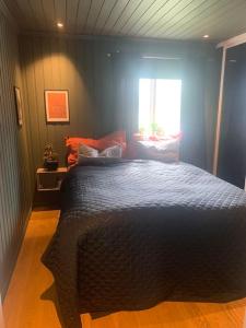 1 dormitorio con 1 cama grande y ventana en Trivelig villa med innendørs peis en Fredrikstad