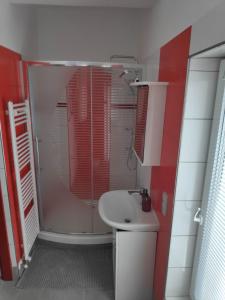 een badkamer met een douche en een wastafel bij MASNA APARTMENT LIBEREC in Liberec