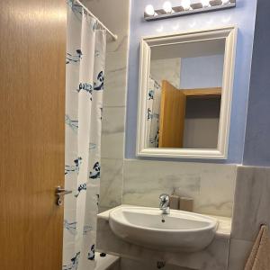 コスタ・バジェーナにあるCosta Ballena Mar Abiertoの洗面台と鏡のあるバスルーム