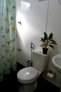een badkamer met een toilet en een wastafel met een potplant bij Diyagal Villa 