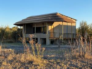 ein Haus mit einem Strohdach auf einem Feld in der Unterkunft Mababe River Lodge & Campsite in Mababe