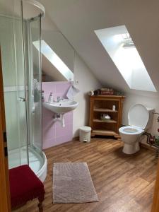 a bathroom with a shower and a toilet and a sink at Apartmány Lucie in Karlovice