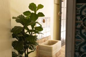 une plante assise à côté d'une salle de bain avec un lavabo dans l'établissement Nueva casa boutique en el centro de Sevilla, à Séville 33 autres photos