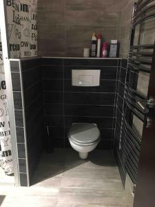 a bathroom with a toilet and a black tiled wall at Villa avec piscine, parking, clim in Palavas-les-Flots