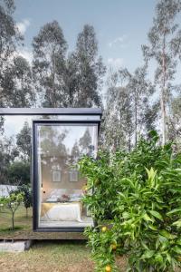 a glass house with a bed in a garden at Villa no Jardim dos Aromas in Gião