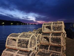 two nets on the shore of a body of water at Waterfront Apartment, St Margarets Hope, Orkney in St Margaret's Hope