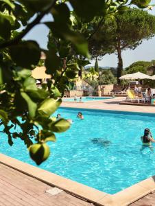 a group of people swimming in a swimming pool at ISA-Residence with swimming pool in Guardistallo surrounded by greenery in Casale Marittimo