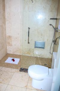 uma casa de banho com um chuveiro e um WC. em Three Rivers Lodge and Villas em Vereeniging
