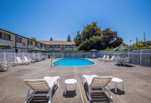 a group of chairs and a swimming pool at Quality Inn & Suites Medford Airport in Medford
