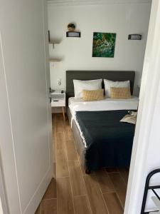 a bedroom with a bed in a room at Agrielia Seafront Katigiorgis, Agios Georgios, Pelion in Agios Georgios