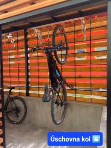 Attività di ciclismo presso l'affittacamere o nelle vicinanze