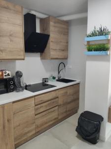 a kitchen with wooden cabinets and a sink at SUDAMERICA38 in Roquetas de Mar