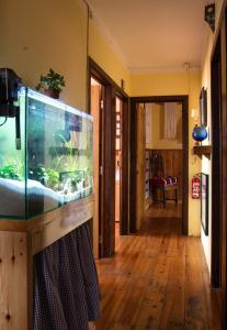 Foto da galeria de Sintra Small Hostel em Sintra