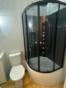 ein Bad mit einer Dusche und einem weißen WC in der Unterkunft Sunset Studio in Danzig