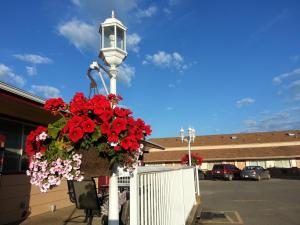 Fotografie z fotogalerie ubytování Traveller's Inn v destinaci Dawson Creek