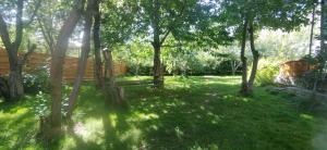 a yard with trees and a wooden fence at Villa in Bishkek