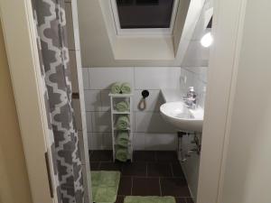 a small bathroom with a sink and a mirror at Grit´s Ferienwohnung in Ostseebad Karlshagen