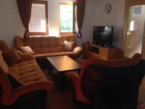 - un salon avec un canapé et une télévision dans l'établissement Villa Tanović, à Sarajevo
