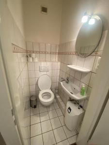 La salle de bains est pourvue de toilettes, d'un lavabo et d'un miroir. dans l'établissement Monteurwohnung am Holstein-Center, à Itzehoe
