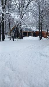 Imagen de la galería de Refugio Vacacional II - Las Trancas - RENTCOVAC, en Nevados de Chillán