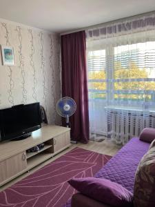 um quarto com uma televisão, uma cama e uma janela em Elena em Rivne