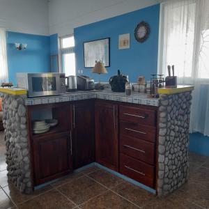 Kuhinja oz. manjša kuhinja v nastanitvi Canefield sea view apartment