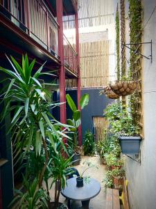 a courtyard with a lot of plants and a table at Bannister Hotel in Johannesburg