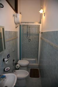 y baño con ducha, aseo y lavamanos. en Agriturismo Casalino dei Francesi, en Montalto di Castro