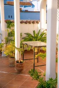 une terrasse couverte avec une table et des plantes en pot dans l'établissement Lalla Ghayta, à Chefchaouen