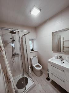 a bathroom with a shower and a toilet and a sink at Cantinhos Da Serra e Sopé, Soure in Soure +17 photos