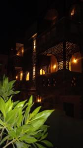a building at night with a green plant in the foreground at Villa Silia in Sharm El Sheikh