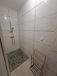 a bathroom with a shower with a bench in it at Logement Cosy T2, Centre ville de Saint-Pierre in Saint-Pierre