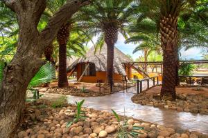 ośrodek z palmami i budynkiem w obiekcie Omaruru Game Lodge w mieście Omaruru