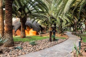 een pad voor een resort met palmbomen bij Omaruru Game Lodge in Omaruru