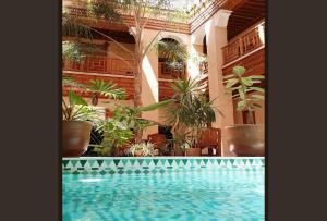 a swimming pool in a building with potted plants at Riad Al Ksar & Spa in Marrakesh
