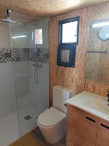uma casa de banho com um WC, um chuveiro e um lavatório. em Casita Bella Vida em L'Ampolla