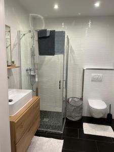 a bathroom with a shower and a sink and a toilet at Apartment am Deister in Barsinghausen