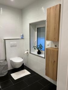 a bathroom with a toilet and a sink and a mirror at Apartment am Deister in Barsinghausen