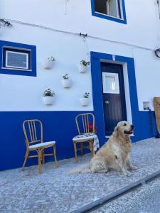 un perro sentado frente a un edificio con dos sillas en Casa Buganvilla en Alcácer do Sal