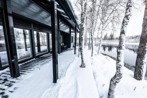 Villa Wikkelä v zimě