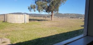 a window view of a field with a tree and a fence at Standard Queen size bedroom in Little River